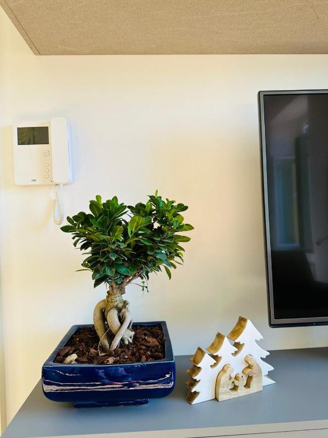 Alocasia Luxury Stay Salerno Exteriör bild